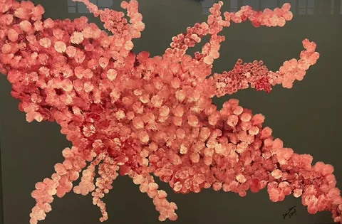 Coral of the Deep